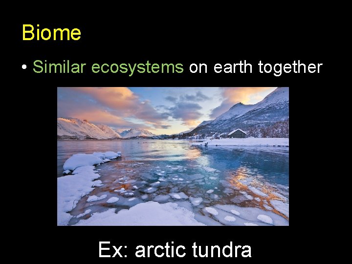 Biome • Similar ecosystems on earth together Ex: arctic tundra 