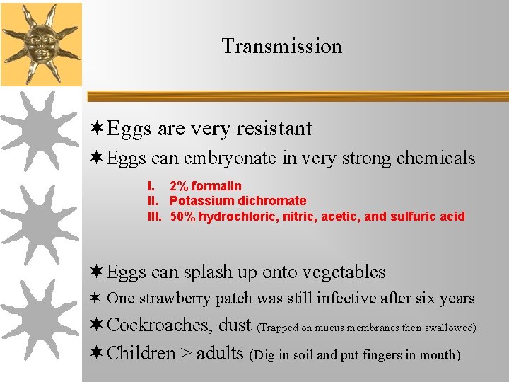 Transmission ¬Eggs are very resistant ¬ Eggs can embryonate in very strong chemicals I. Transmission ¬Eggs are very resistant ¬ Eggs can embryonate in very strong chemicals I.