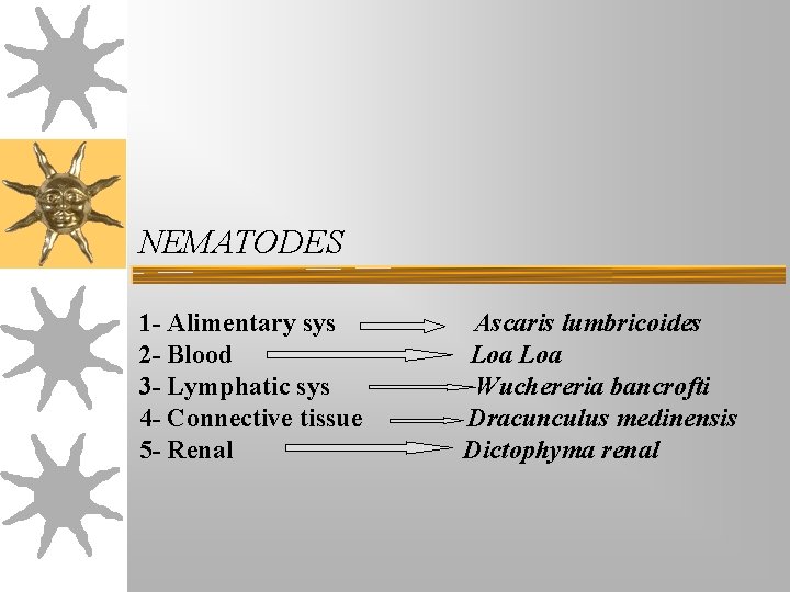 NEMATODES 1 - Alimentary sys 2 - Blood 3 - Lymphatic sys 4 - NEMATODES 1 - Alimentary sys 2 - Blood 3 - Lymphatic sys 4 -