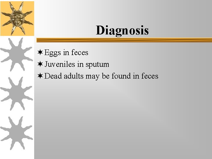 Diagnosis ¬ Eggs in feces ¬ Juveniles in sputum ¬ Dead adults may be Diagnosis ¬ Eggs in feces ¬ Juveniles in sputum ¬ Dead adults may be