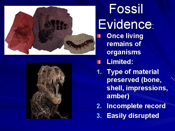Fossil Evidence: Once living remains of organisms Limited: 1. Type of material preserved (bone,