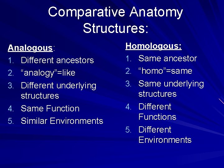 Comparative Anatomy Structures: Analogous: 1. Different ancestors 2. “analogy”=like 3. Different underlying structures 4.