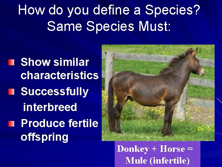 How do you define a Species? Same Species Must: Show similar characteristics Successfully interbreed