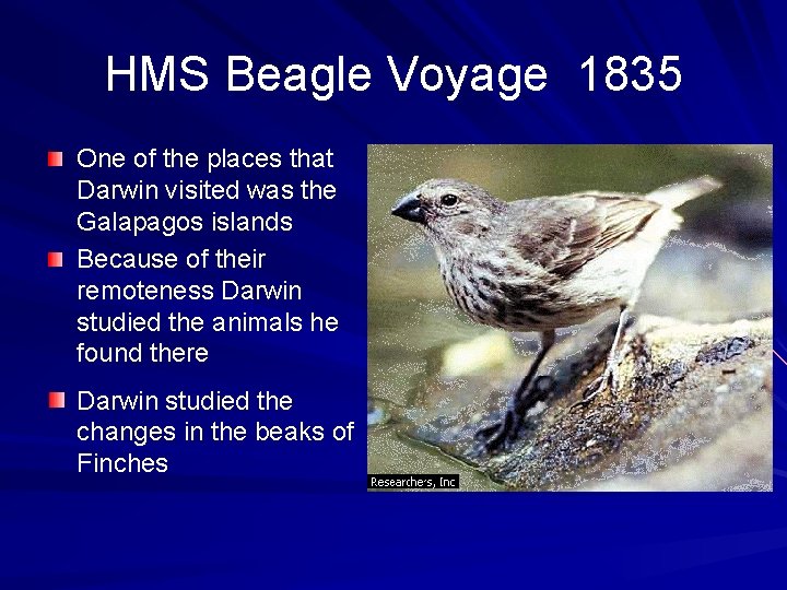 HMS Beagle Voyage 1835 One of the places that Darwin visited was the Galapagos