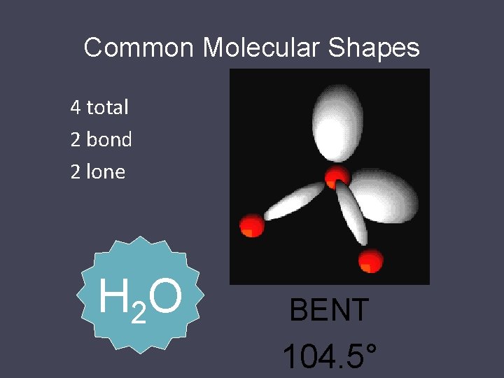 Common Molecular Shapes 4 total 2 bond 2 lone H 2 O BENT 104.