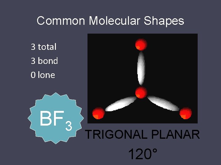 Common Molecular Shapes 3 total 3 bond 0 lone BF 3 TRIGONAL PLANAR 120°
