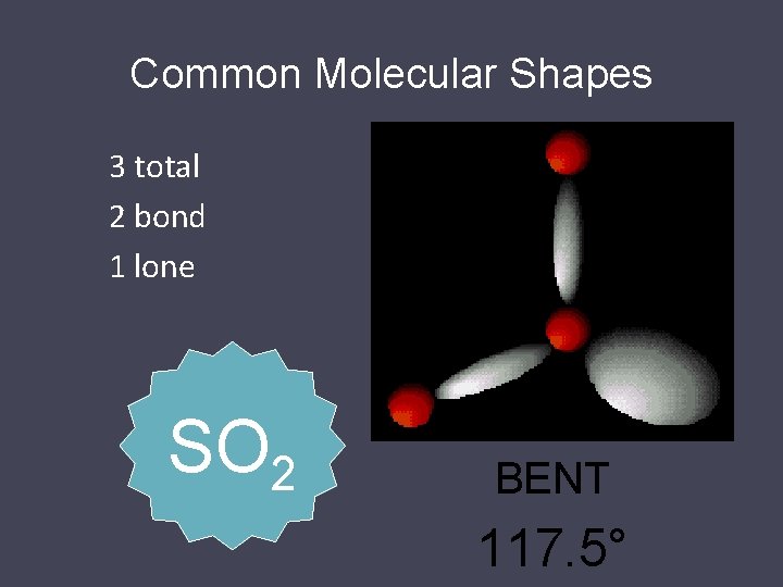 Common Molecular Shapes 3 total 2 bond 1 lone SO 2 BENT 117. 5°