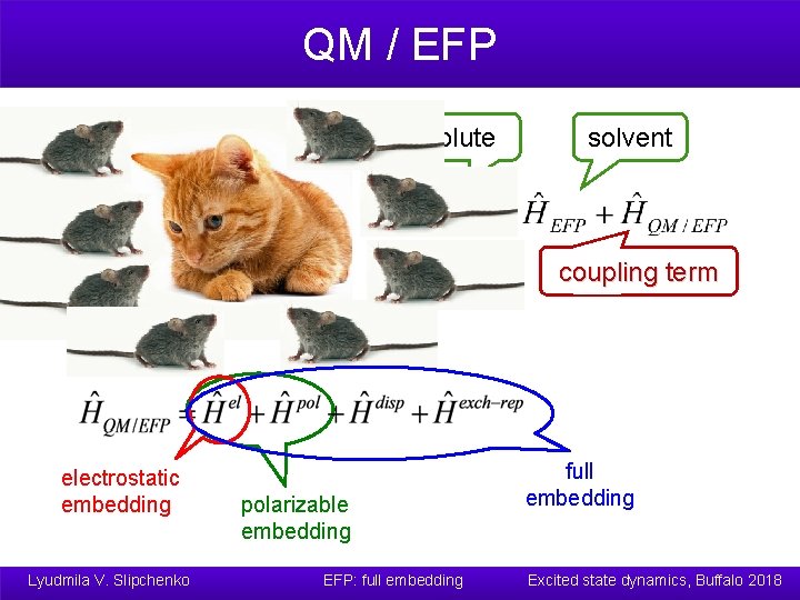 QM / EFP EFP solute QM Eint EFP electrostatic embedding Lyudmila V. Slipchenko solvent