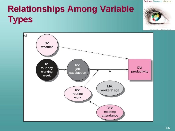 Relationships Among Variable Types 3 -14 