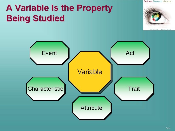A Variable Is the Property Being Studied Act Event Variable Characteristic Trait Attribute 3