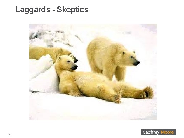 Laggards - Skeptics 8 