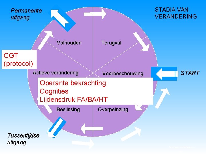 STADIA VAN VERANDERING Permanente uitgang Volhouden Terugval CGT (protocol) Actieve verandering Voorbeschouwing START Operante