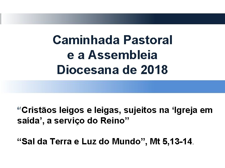 Caminhada Pastoral e a Assembleia Diocesana de 2018 : “Cristãos leigos e leigas, sujeitos