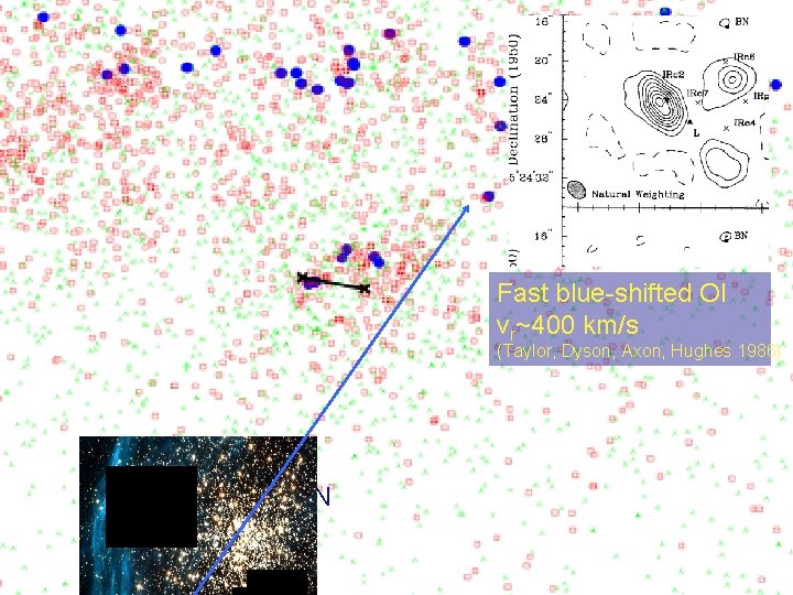 Fast blue-shifted OI vr~400 km/s (Taylor, Dyson, Axon, Hughes 1986) BN I 