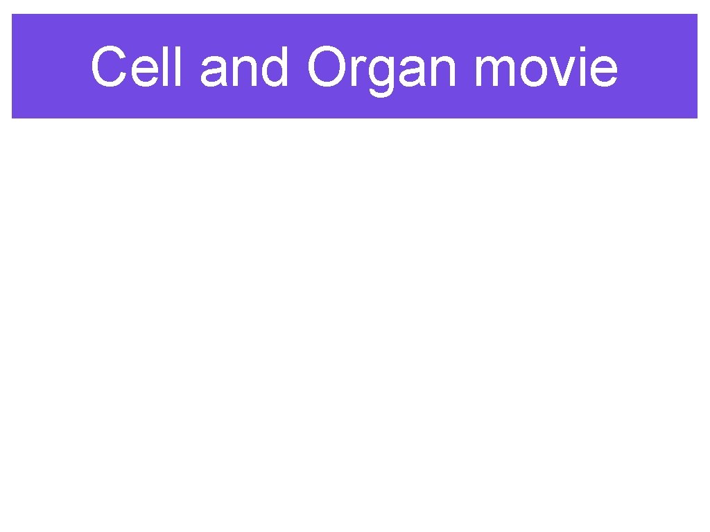 Cell and Organ movie 