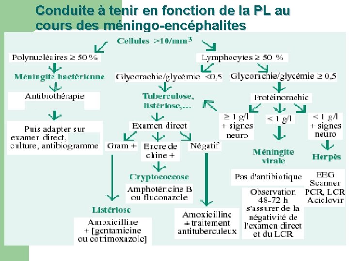 Conduite à tenir en fonction de la PL au cours des méningo-encéphalites 