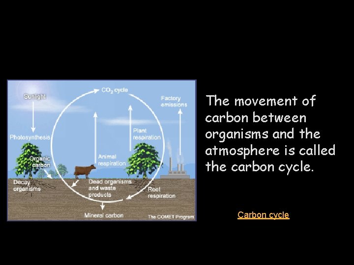 The movement of carbon between organisms and the atmosphere is called the carbon cycle.