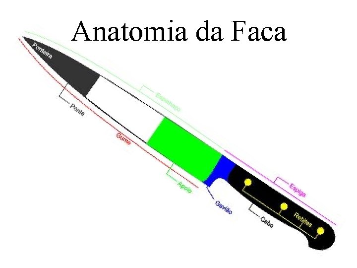 Anatomia da Faca 