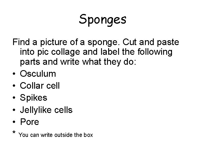 Sponges Find a picture of a sponge. Cut and paste into pic collage and