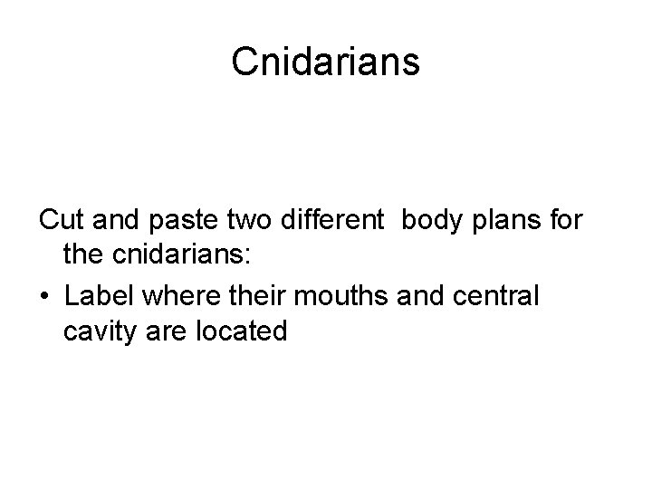 Cnidarians Cut and paste two different body plans for the cnidarians: • Label where