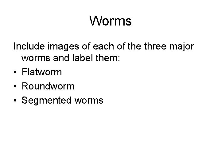 Worms Include images of each of the three major worms and label them: •