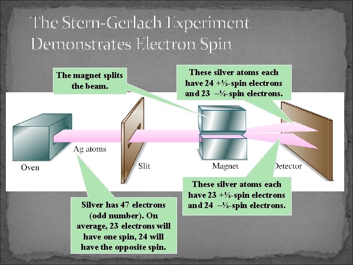 The Stern-Gerlach Experiment Demonstrates Electron Spin The magnet splits the beam. Silver has 47