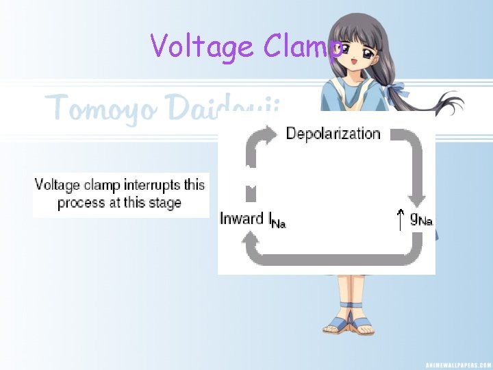 Voltage Clamp 