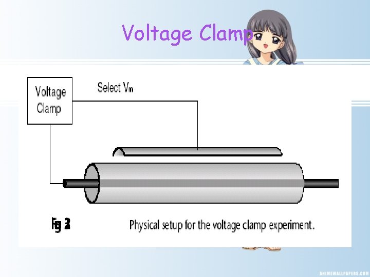 Voltage Clamp 