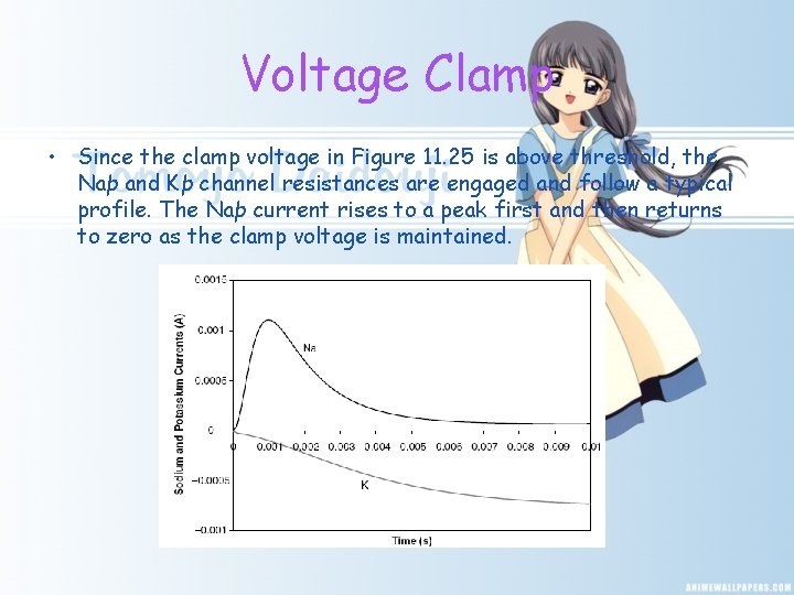 Voltage Clamp • Since the clamp voltage in Figure 11. 25 is above threshold,