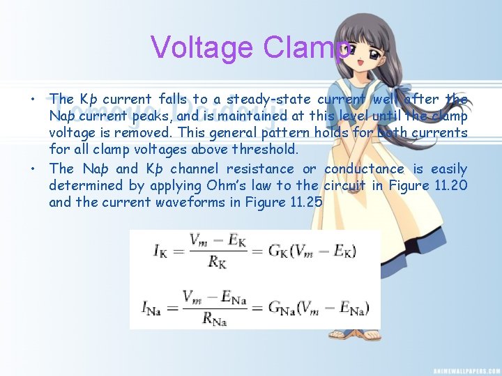 Voltage Clamp • The Kþ current falls to a steady-state current well after the