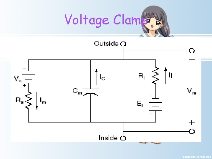 Voltage Clamp 