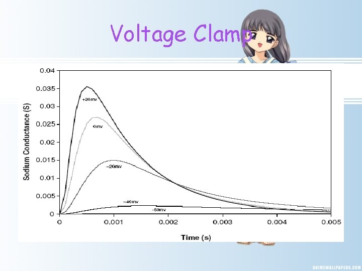 Voltage Clamp 