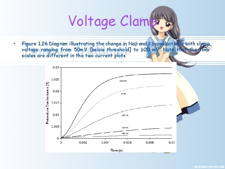 Voltage Clamp • Figure 1. 26 Diagram illustrating the change in Naþ and Kþ