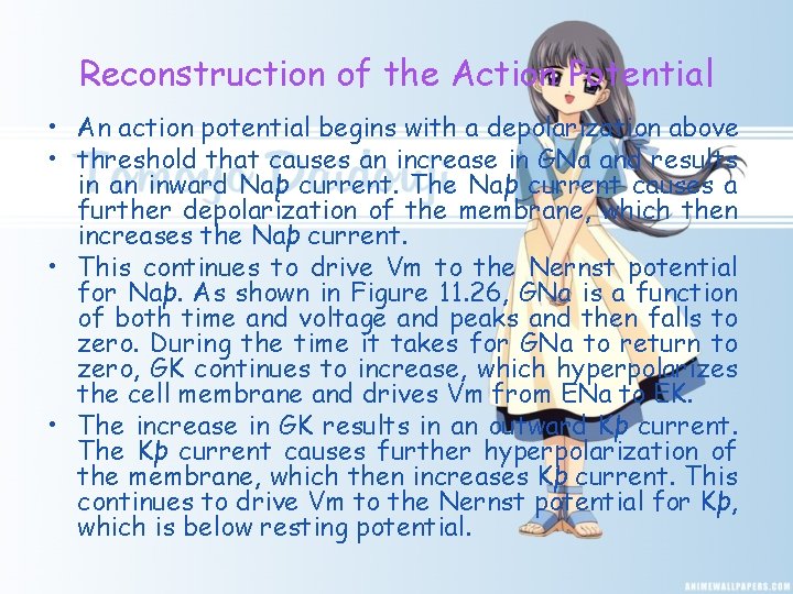 Reconstruction of the Action Potential • An action potential begins with a depolarization above