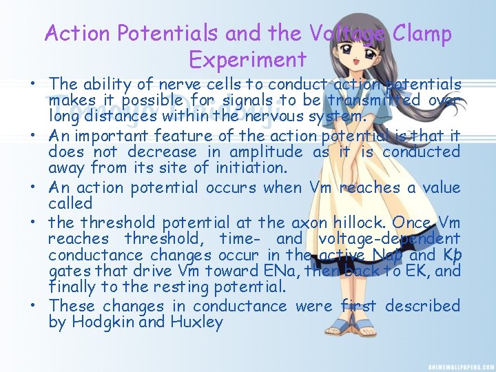 Action Potentials and the Voltage Clamp Experiment • The ability of nerve cells to