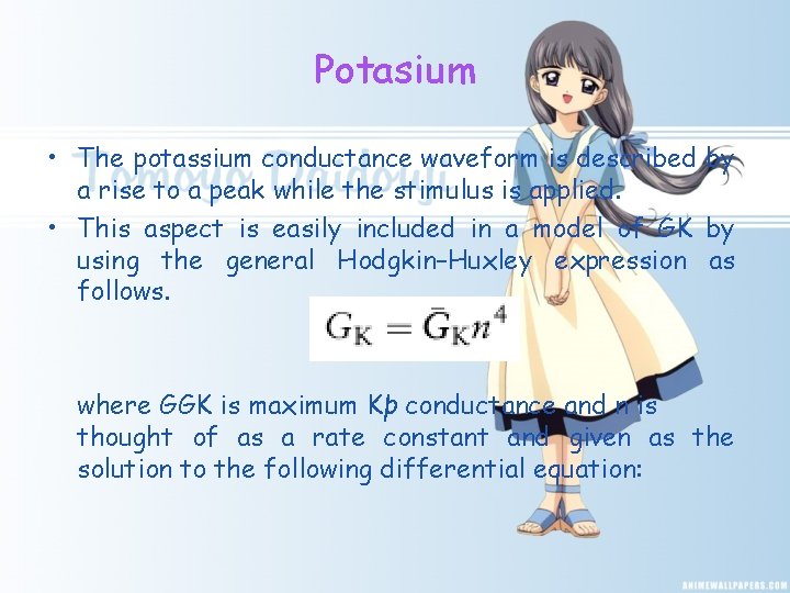 Potasium • The potassium conductance waveform is described by a rise to a peak