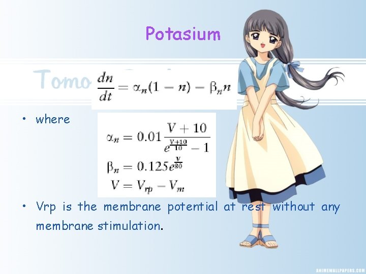 Potasium • where • Vrp is the membrane potential at rest without any membrane