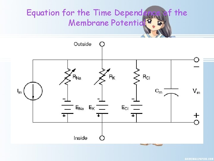 Equation for the Time Dependence of the Membrane Potential 