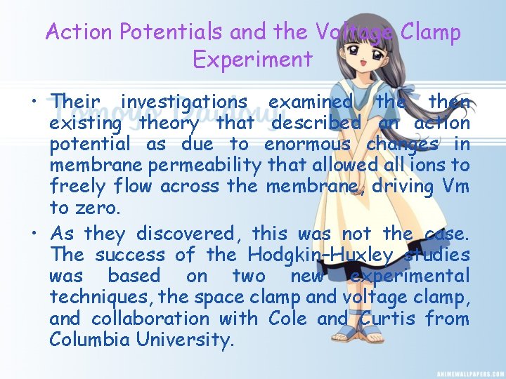 Action Potentials and the Voltage Clamp Experiment • Their investigations examined then existing theory