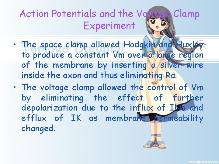 Action Potentials and the Voltage Clamp Experiment • The space clamp allowed Hodgkin and