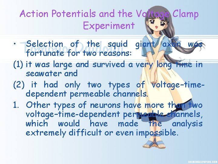 Action Potentials and the Voltage Clamp Experiment • Selection of the squid giant axon
