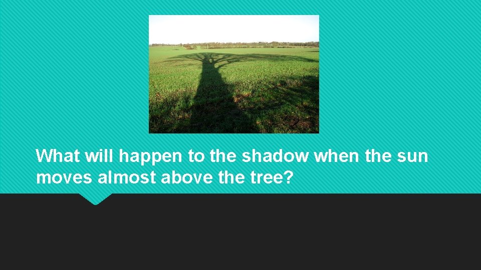 What will happen to the shadow when the sun moves almost above the tree? What will happen to the shadow when the sun moves almost above the tree?
