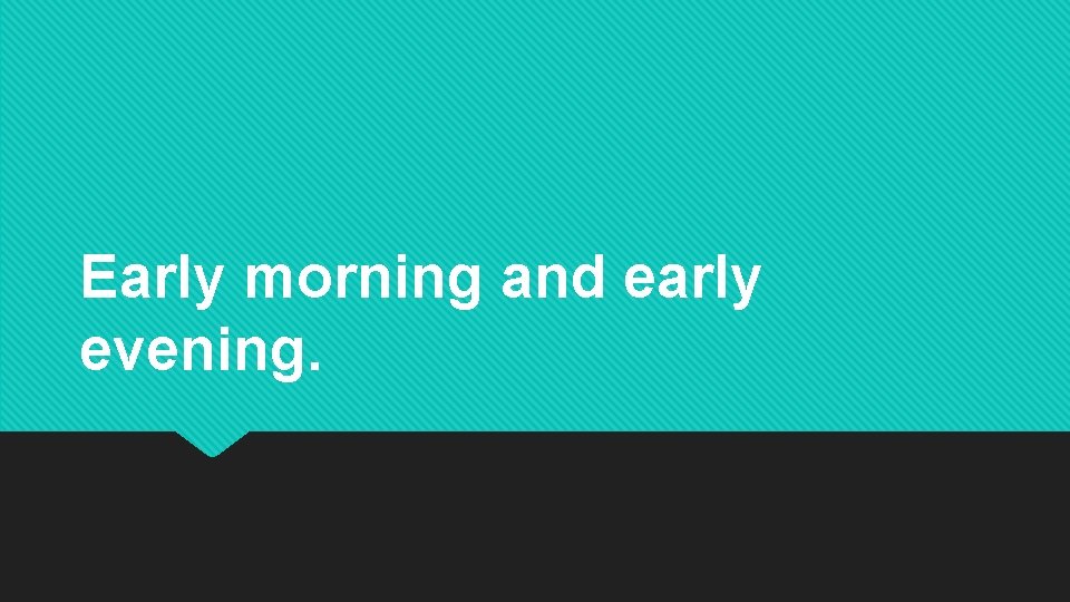 Early morning and early evening. Early morning and early evening.