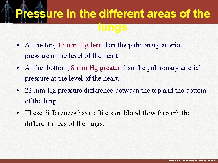 Pressure in the different areas of the lungs • At the top, 15 mm Pressure in the different areas of the lungs • At the top, 15 mm