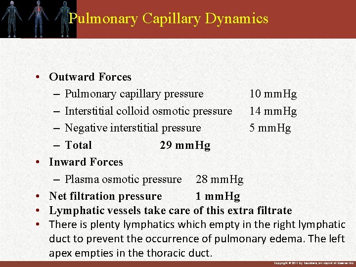 Pulmonary Capillary Dynamics • Outward Forces – Pulmonary capillary pressure 10 mm. Hg – Pulmonary Capillary Dynamics • Outward Forces – Pulmonary capillary pressure 10 mm. Hg –