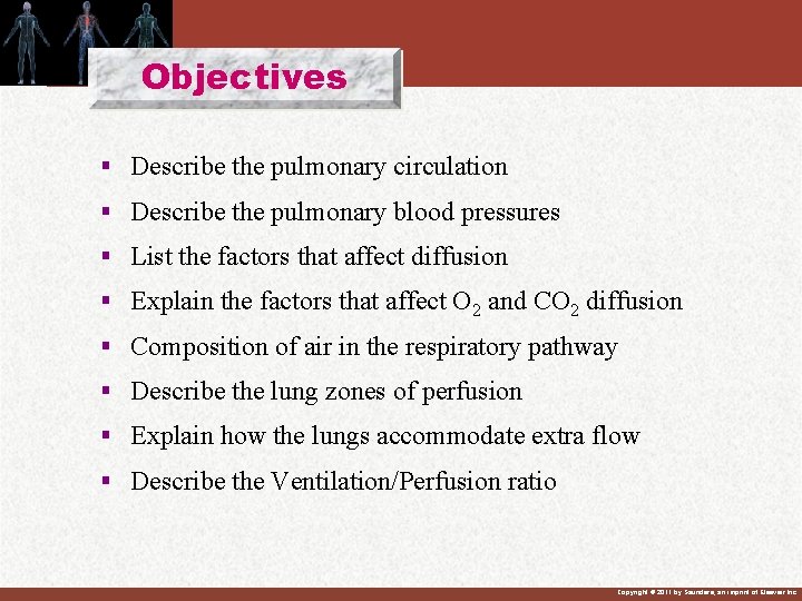 Objectives § Describe the pulmonary circulation § Describe the pulmonary blood pressures § List Objectives § Describe the pulmonary circulation § Describe the pulmonary blood pressures § List