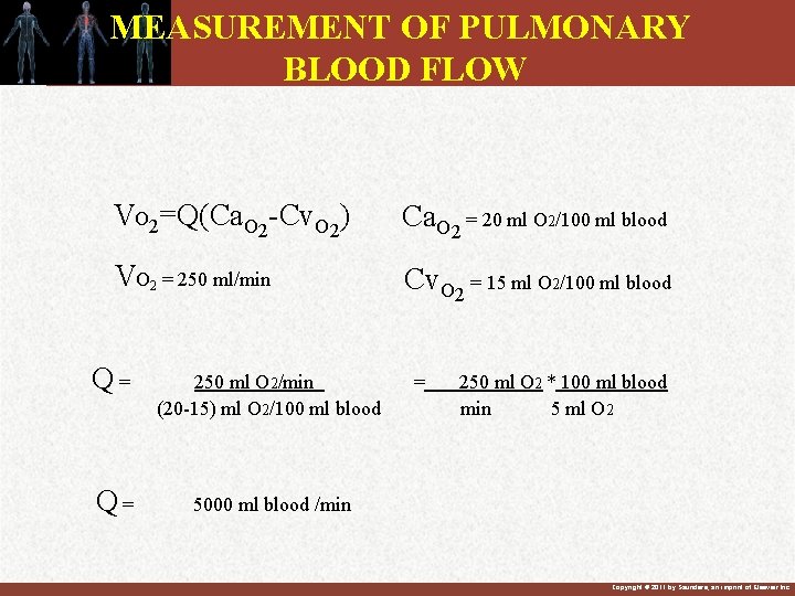 MEASUREMENT OF PULMONARY BLOOD FLOW VO 2=Q(Ca. O 2 -Cv. O 2) Ca. O MEASUREMENT OF PULMONARY BLOOD FLOW VO 2=Q(Ca. O 2 -Cv. O 2) Ca. O