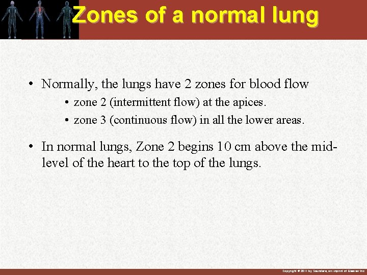Zones of a normal lung • Normally, the lungs have 2 zones for blood Zones of a normal lung • Normally, the lungs have 2 zones for blood