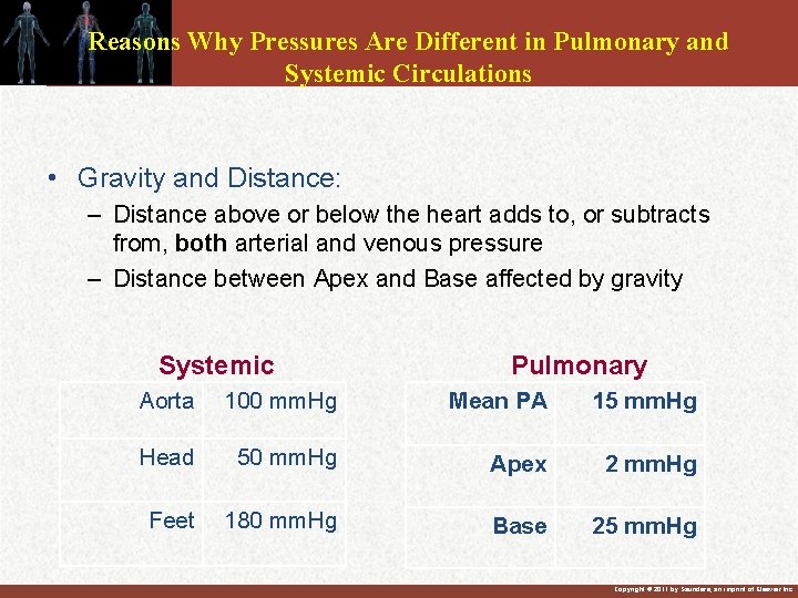 Reasons Why Pressures Are Different in Pulmonary and Systemic Circulations • Gravity and Distance: Reasons Why Pressures Are Different in Pulmonary and Systemic Circulations • Gravity and Distance:
