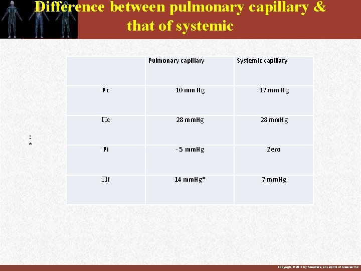 Difference between pulmonary capillary & that of systemic : * Pulmonary capillary Systemic capillary Difference between pulmonary capillary & that of systemic : * Pulmonary capillary Systemic capillary